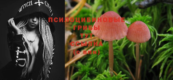 скорость Алексеевка