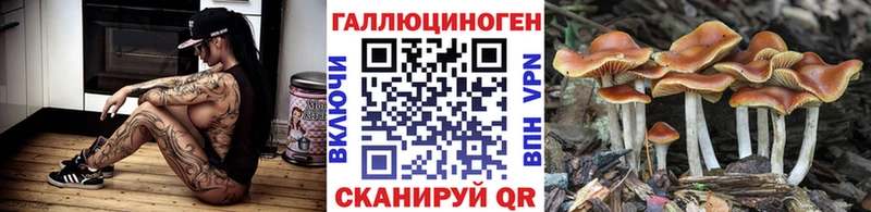 Псилоцибиновые грибы Cubensis Нефтекумск