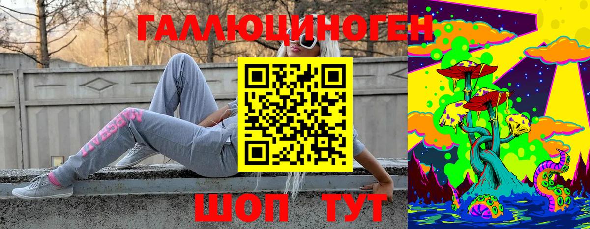 Псилоцибиновые грибы Cubensis  Нефтекумск 