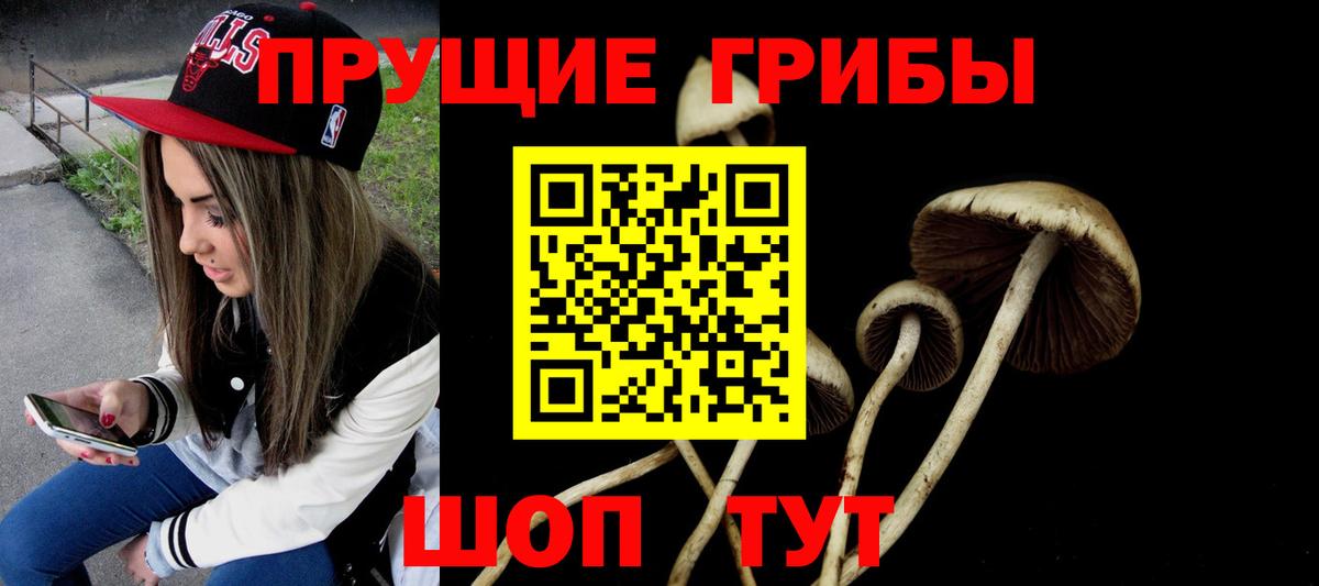 Псилоцибиновые грибы GOLDEN TEACHER  Галлюциногенные грибы Cubensis  Вход с VPN  Нефтекумск 