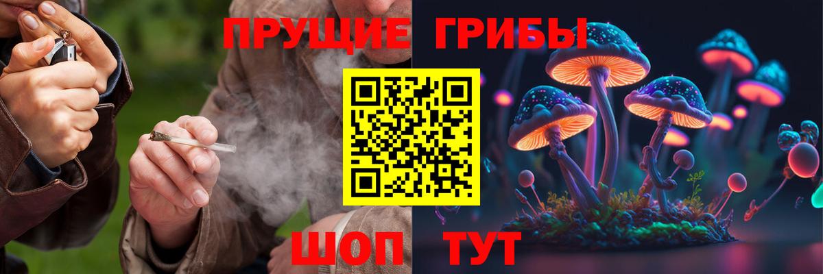 Галлюциногенные грибы Magic Shrooms Нефтекумск