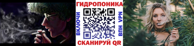 Марихуана OG Kush  Нефтекумск 